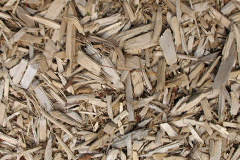 biomass boilers Abergwili